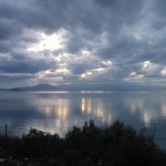IMG_3555
